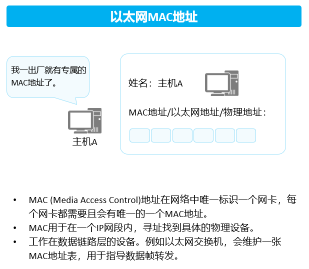 image-20220725212604982