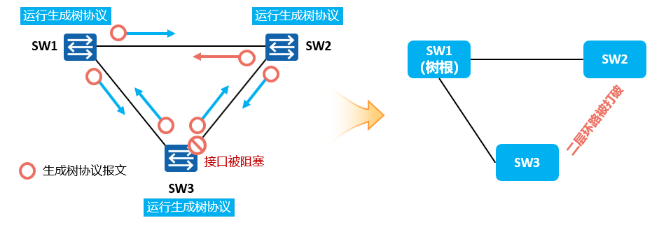image-20220901212556586