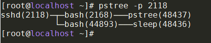image-20230115161426452