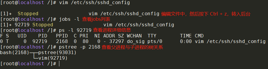 image-20230115231635065